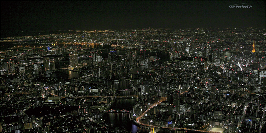 写真：東京夜景