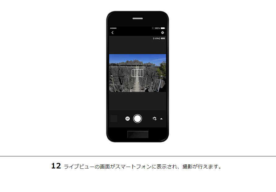 12ライブビューの画面がスマートフォンに表示され、撮影が行えます。