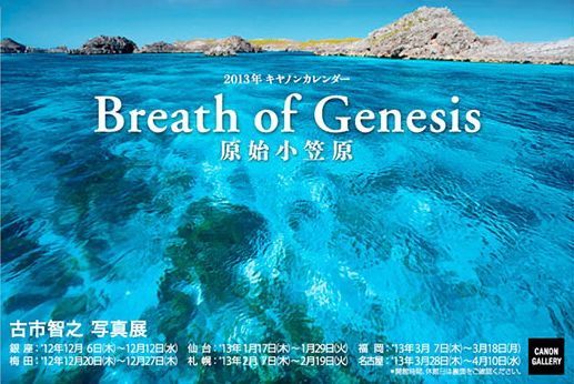 ポストカード：古市 智之写真展：2013年キヤノンカレンダー展　Breath of Genesis ～原始小笠原～