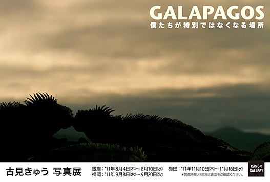 ポストカード：古見 きゅう 写真展：「GALAPAGOS」 僕たちが特別ではなくなる場所