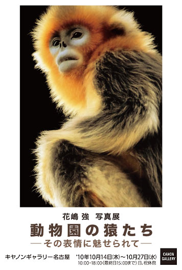 ポストカード：花嶋 強 写真展 動物園の猿たち　－その表情に魅せられて－