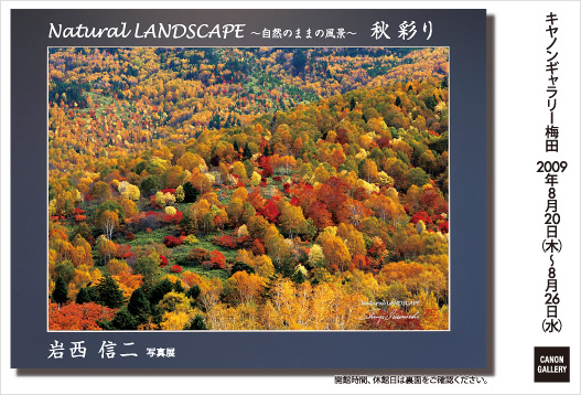 ポストカード：岩西信二 写真展：Natural LANDSCAPE　～自然のままの風景～ 　秋 彩り