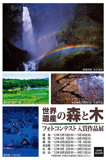 ポストカード：財団法人 日本森林林業振興会：世界遺産の森と木フォトコンテスト入賞作品展