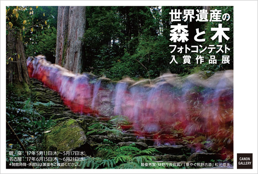 キヤノン：キヤノンギャラリー｜世界遺産の森と木フォトコンテスト入賞