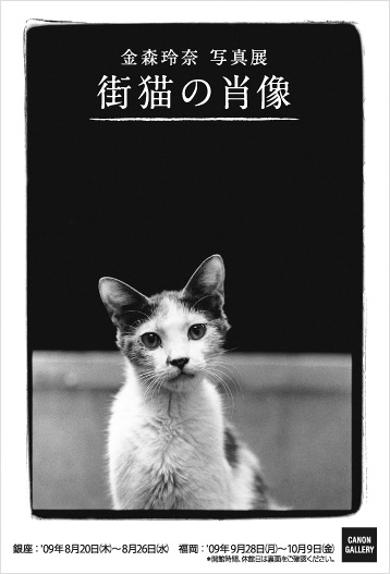 ポストカード：金森 玲奈 写真展：街猫の肖像