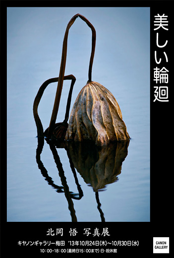 ポストカード：キヤノン：キヤノンギャラリー｜北岡 悟 写真展：美しい輪廻