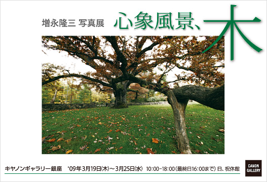 ポストカード：増永 隆三 写真展：心象風景、木