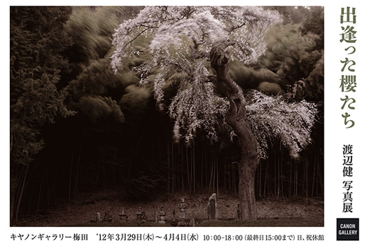 ポストカード：渡辺　健 写真展：出逢った櫻たち