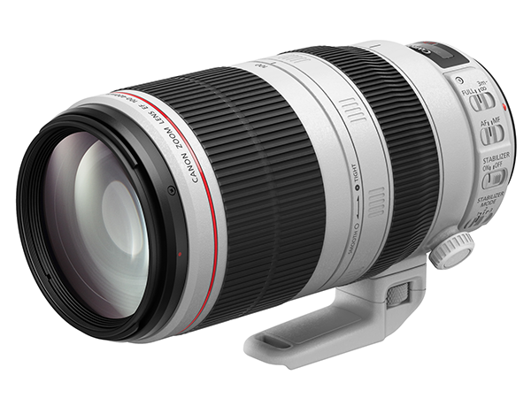 Canon EF100-400mm F4.5-5.6L IS Ⅱ USM多少のスレやキズがあります