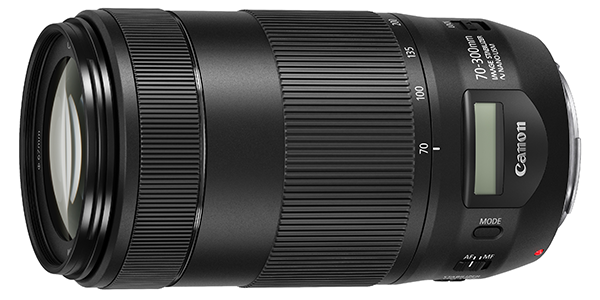 実用品 CANON キヤノン EF70-300mm F4-5.6L IS USMレンズ(ズーム)