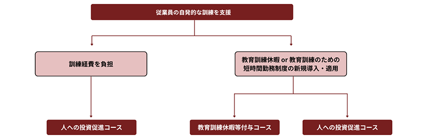 従業員の自発的な訓練を支援→訓練経費を負担→人への投資促進コース 従業員の自発的な訓練を支援→教育訓練休暇or教育訓練のための短時間勤務制度の新規導入・適用→教育訓練休暇等付与コース/人への投資促進コース