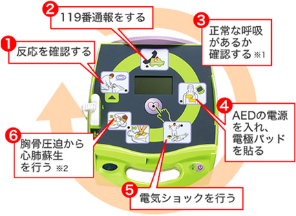 (1)反応を確認する。(2)119番通報をする。(3)正常な呼吸があるか確認する※1。(4)AEDの電源を入れ、電極パッドを貼る。(5)電気ショックを行う。(6)胸骨圧迫から心肺蘇生を行う※2。