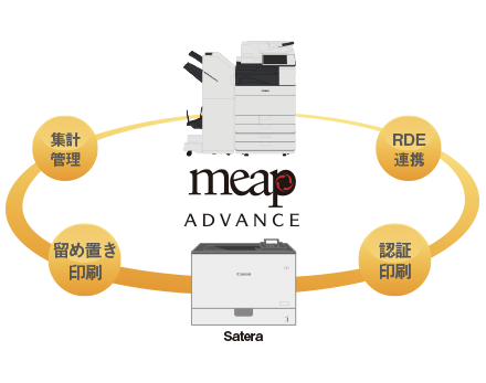 MEAP ADVANCE