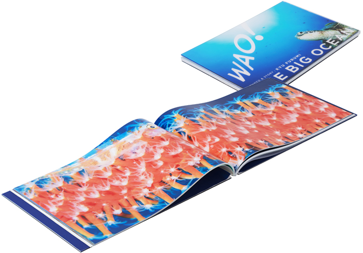 古見きゅう『WAO! THE BIG OCEAN』