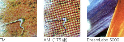 印刷面拡大図 FM/印刷面拡大図 AM(175線)/印刷面拡大図 DreamLabo 5000