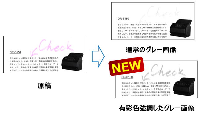 写真：有彩色強調