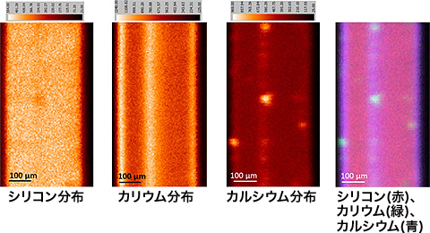 シリコン分布 カリウム分布 カルシウム分布 シリコン(赤)、カリウム(緑)、カルシウム(青)