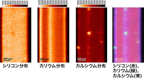 シリコン分布 カリウム分布 カルシウム分布 シリコン（赤）、カリウム（緑）、カルシウム（青）