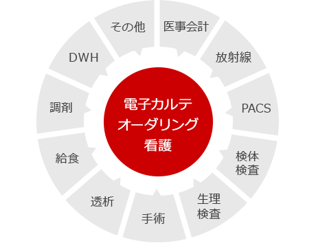 電子カルテ、オーダリング、看護を中心に医事会計、放射線、PACS、検体検査、生理検査、手術、透析、給食、調剤、DWH、その他も対応。