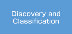 Discovery and Classification