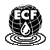 ECF