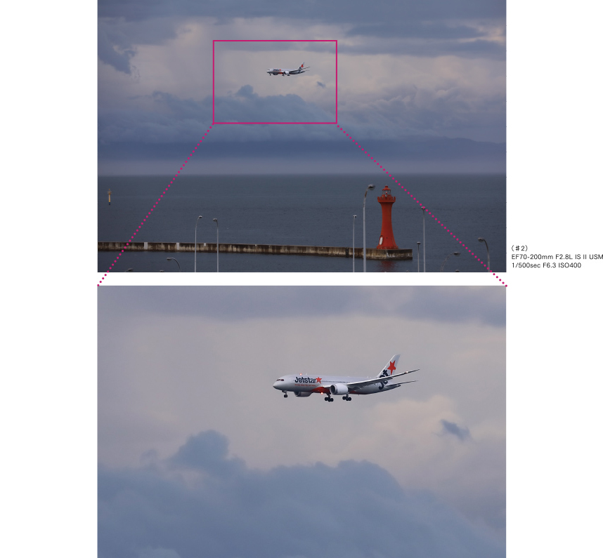 (♯2) EF70-200mm F2.8L IS Ⅱ USM 1/500sec F6.3 ISO400