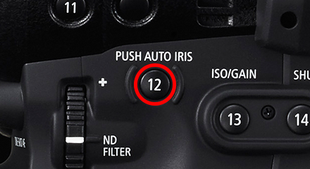 写真：PUSH AUTO IRIS