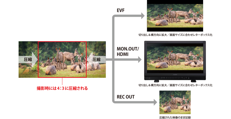 図:アナモフィックレンズ対応(デスクイーズ出力対応)
