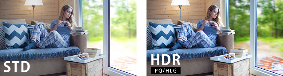 HDRモニタリング対応（PQ／HLG規格）