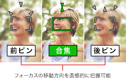 図:デュアルピクセルフォーカスガイド