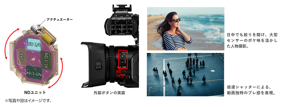 マーケティング キヤノン 4Kビデオカメラ XA75 JP