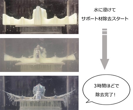 水に浸けてサポート材除去スタート→3時間ほどで除去完了!