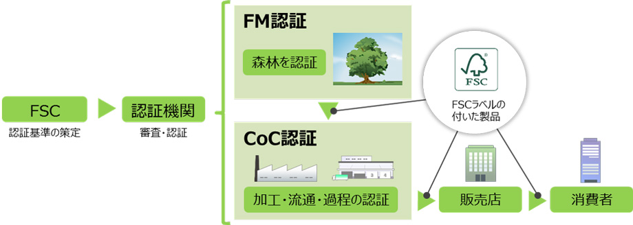 FSC（認証基準の策定）→認証機関（審査・認証）→FM認証（森林を認証）→（FSCラベルの付いた製品）→CoC認証（加工・流通・過程の認証）→（FSCラベルの付いた製品）→販売店→（FSCラベルの付いた製品）→消費者