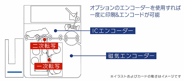 オプションのエンコーダーを使用すれば一度に印刷&エンコードが可能 ICエンコーダー 磁気エンコーダー 二次転写 一次転写 ※イラストおよびカードの動きはイメージです
