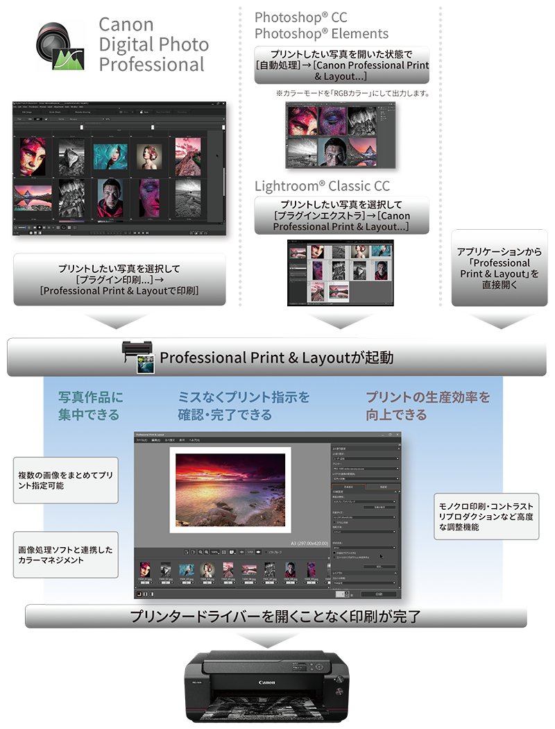 Canon Digital Photo Professional：プリントしたい写真を選択して「プラグイン印刷…」→「Professional Print＆Layoutで印刷」／ Photoshop® CC、Photoshop® Elements：プリントしたい写真を開いた状態で「自動処理」→「Canon Professional Print＆Layout…」 ※カラーモードを「RGBカラー」にして出力します。／Lightroom® Classic CC：プリントしたい写真を選択して「プラグインエクストラ」→「Canon Professional Print＆Layout…」／アプリケーションから「Professional Print＆Layout」を直接開く→Professional Print＆Layoutが起動：1.写真作品に集中できる（複数の画像をまとめてプリント指定可能／画像処理ソフトと連携したカラーマネジメント）、2.ミスなくプリント指示を確認・完了できる、3.プリントの生産効率を向上できる（モノクロ印刷・コントラストリプロダクションなど高度な調節機能）