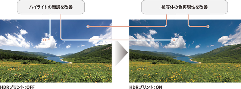 左：HDRプリントOFF 右：HDRプリントON ハイライトの階調を改善／被写体の色再現性を改善