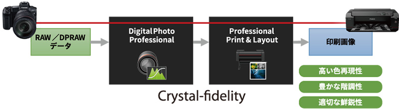 RAW / DPRAWデータ→Crystal-fidelity（Digital Photo Professional→Professional Print & Layout）→印刷画像（高い色再現性／豊かな階調性／適切な鮮鋭性）