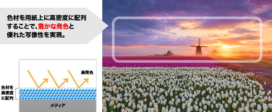 図:色材の高密度配列により、高発色を実現