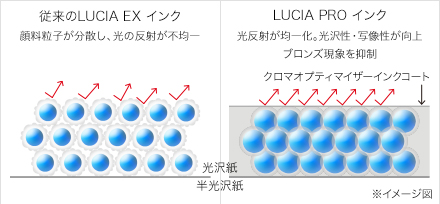 従来のLUCIA EX インク：顔料粒子が分散し、光の反射が不均一。新LUCIA PRO インク：光反射が均一化。光沢性・写像性が向上。ブロンズ現象を抑制。（クロマオプティマイザーインクコート）