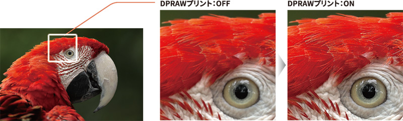 DPRAWプリントをON