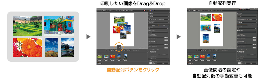 印刷したい画像をDrag&Erop 自動配列ボタンをクリック。画像間隔の設定や自動配列後の手動変更も可能。