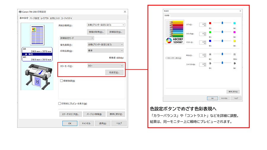 ドライバーカラー詳細設定画面