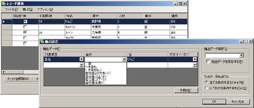 図:検索機能を充実させたレコード印刷