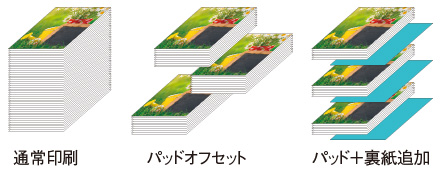 通常印刷 パッドオフセット パッド+裏紙追加