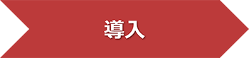 導入