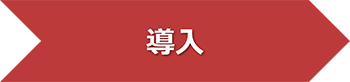 導入