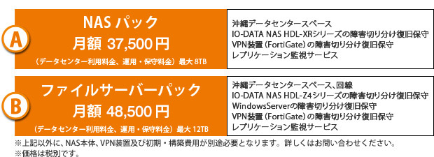 【A】NASパック月額 47,500円(データセンター利用料金、運用・保守料金) 最大8TB 【B】Windowsパック月額 58,500円(データセンター利用料金、運用・保守料金)最大8TB