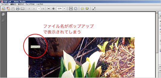 １．下記サンプル画像は、画像の情報がポップアップ表示されているところです。これを表示しないようにするためには、PDFを作成する際に設定を変更する必要があります。例として、Microsoft Word 2013からPDFを生成する手順をご説明します。