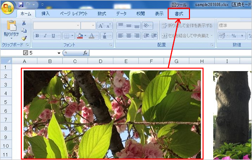 1.	次にサンプルファイルを開きます。画像のどれかひとつを左クリックで選択すると、「書式」タブが表示されます。