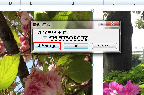 3.	「図の圧縮」ウィンドウが開きます。今回はすべての画像に圧縮を適用したいので、「選択した画像のみに適用」にはチェックせず、「オプション」をクリックします。